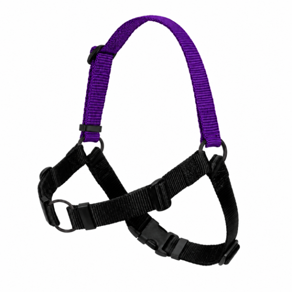 Producto - ARNES ANTI - TIRONES / Medium - 0
