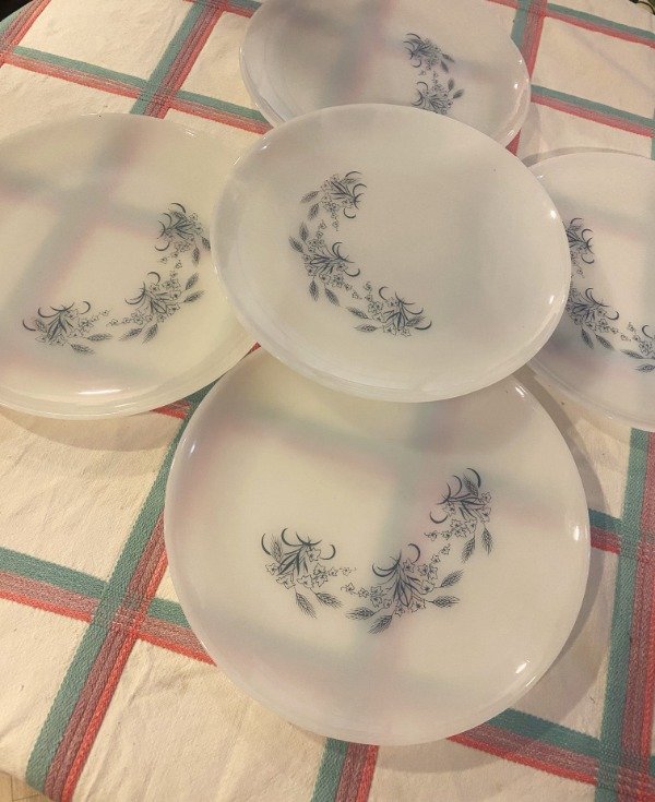 Producto - 5 Platos Playo Rigopal