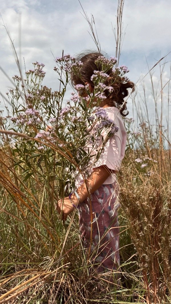 Producto - Remera Colores