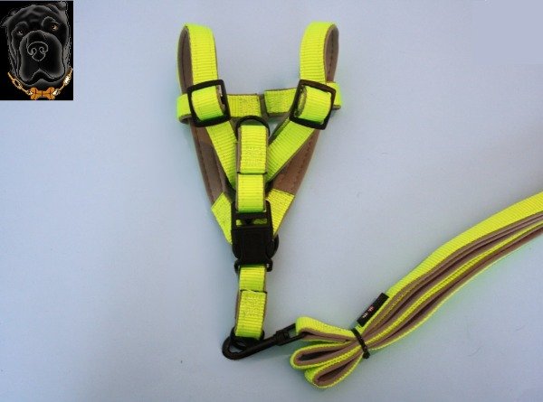 Producto - CONJUNTO ARNÉS + CORREA 1,5CM TELA BUCEO