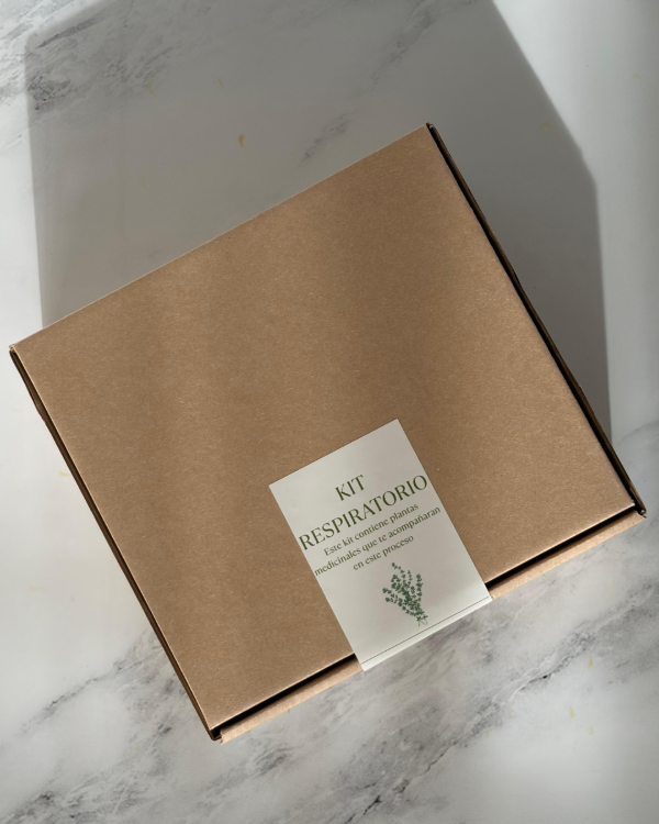 Producto - Kit respiratorio