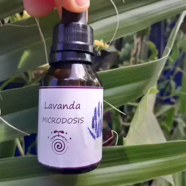 Producto - Microdosis de lavanda