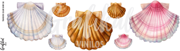 Producto - TransferColorUV M158