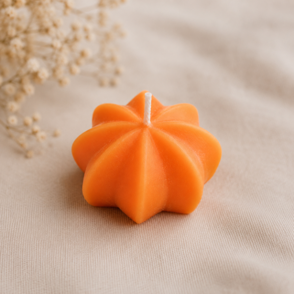 Producto - MOLDE SUCULENTA ESTRELLA DEL DESIERTO
