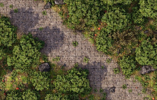 Producto - Camino en el bosque 2 L