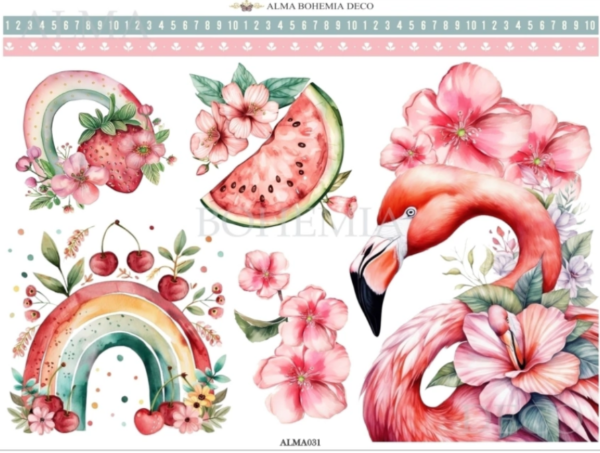 Producto - TRANSFER ALMA BOHEMIA ALMA031