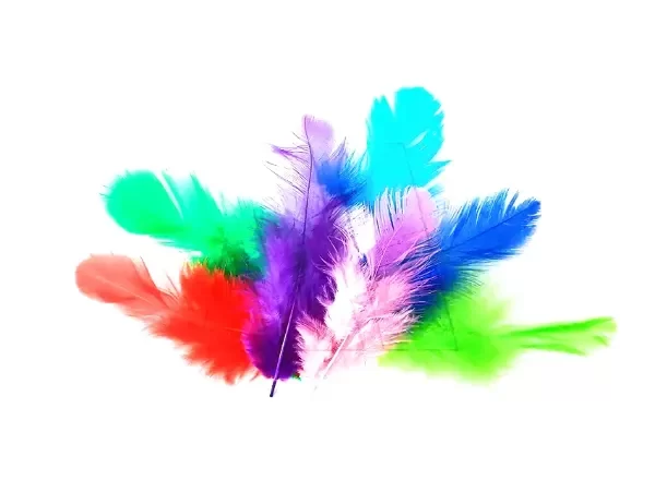 Producto - PLUMAS  MINI MARABU