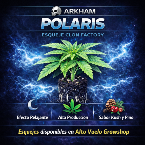 Producto - Esqueje Arkham Polaris