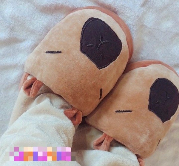 Producto - Línea Quio !! Pantuflas capibara
