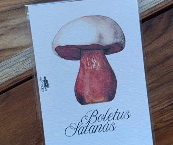 Producto - Ilustración Boleto de Satanás - 2