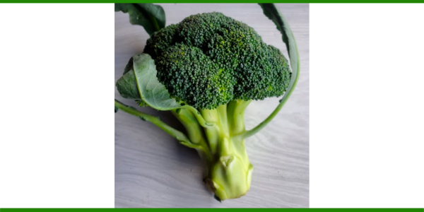 Producto - Brócoli agroecológico x 500 gr de Amarantus