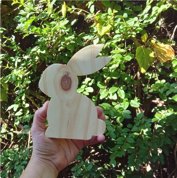 Producto - CONEJO BUNNY