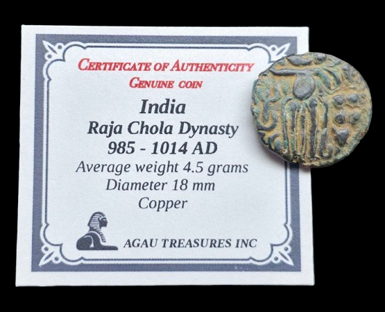 Producto - Dinastia Chola 1 Massa (985-1014 d.C) Hombre Pulpo (certificado)