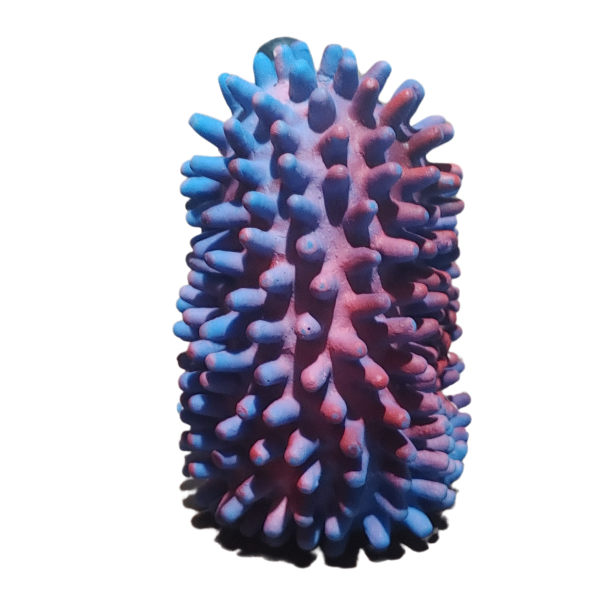 Producto - Juguete para Perros de Goma con Chifle - Erizo Azul, 11x10x7 cm - 4