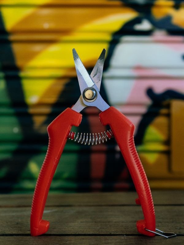 Producto - Tijera Zeus