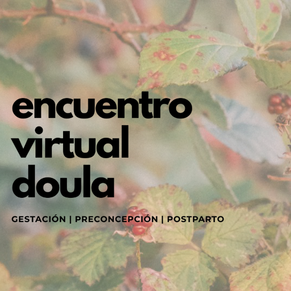 Producto - Encuentro virtual Doula