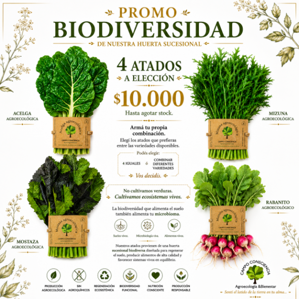 Producto - Promo Nutrición Biodiversa - 4 Atados Agroecológicos a elección