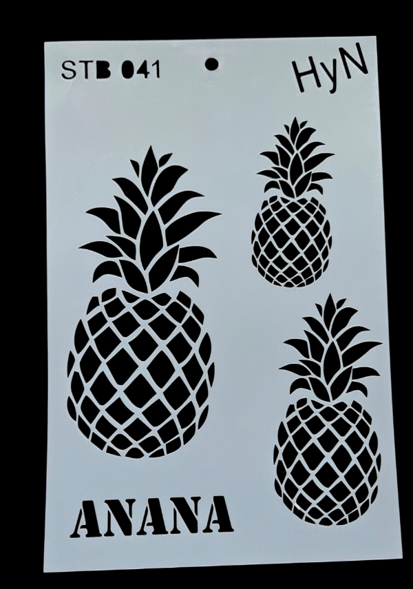 Producto - Anana - HyN