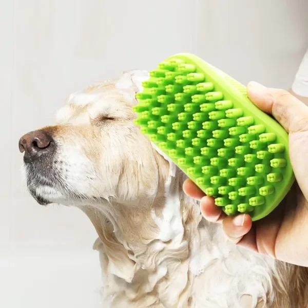 Producto - Cepillo de Baño