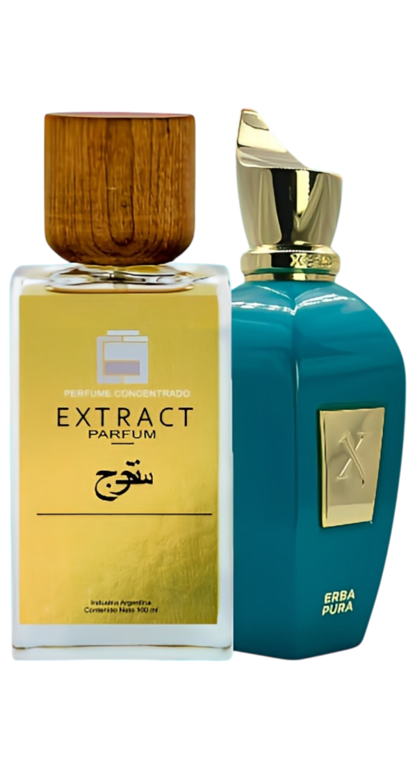 Producto - ERBA PURA - EXRTACTO