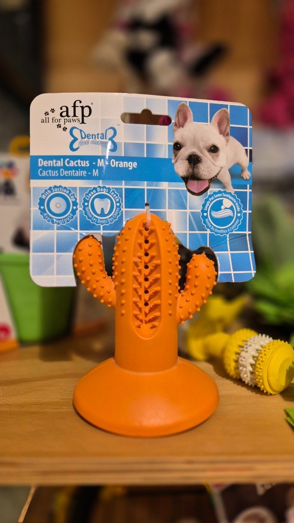 Producto - CACTUS LIMPIA DIENTES