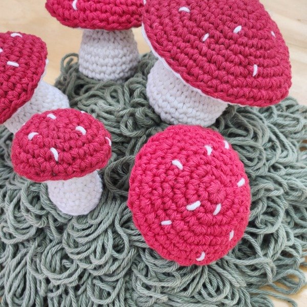 Producto - MI PRIMER AMIGURUMI - HONGUITO - 5
