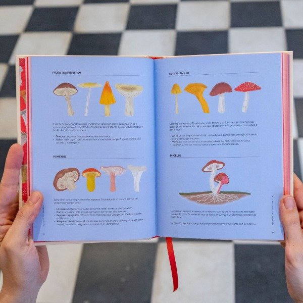 Miniatura de producto - 4