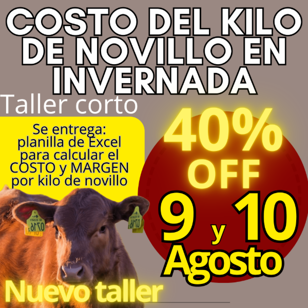 Producto - Taller corto: cálculo del costo del kilo de novillo - 0