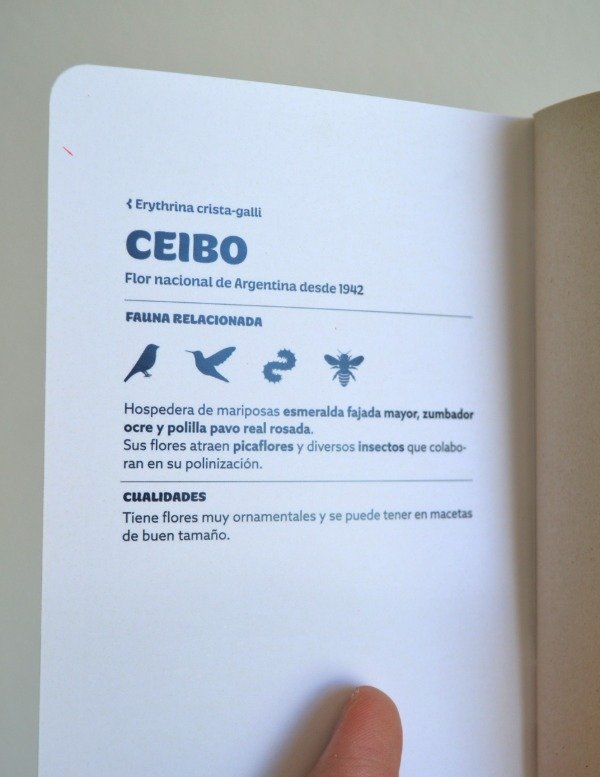 Producto - Libreta Ceibo - 1