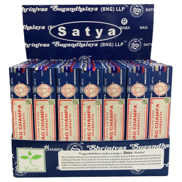 Producto - Box Display x 42 Unidades de 15 g NAG CHAMPA