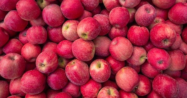 Producto - Manzana pink lady Orgánica