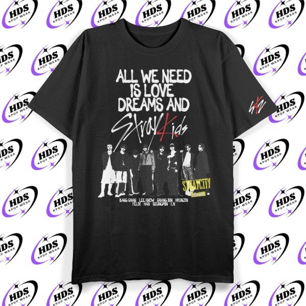 Producto - Remera ALL WE NEED IS SKZ