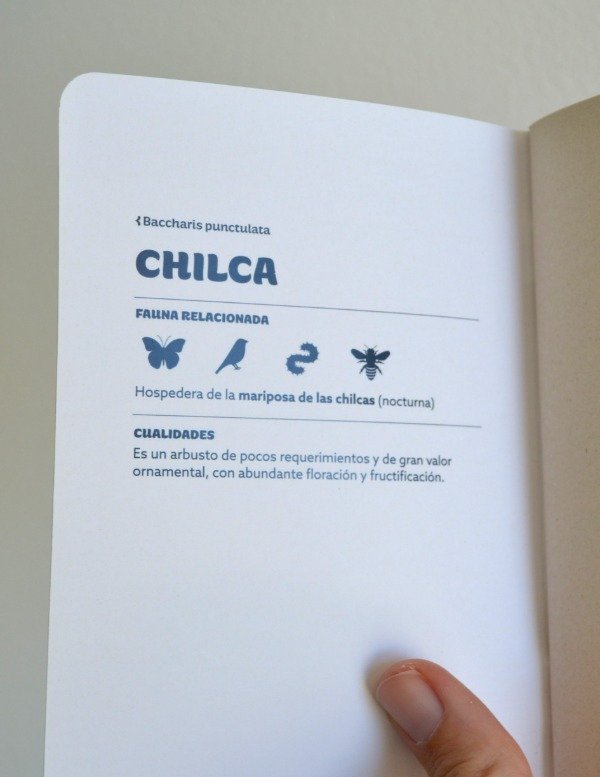 Producto - Libreta Chilca - 1