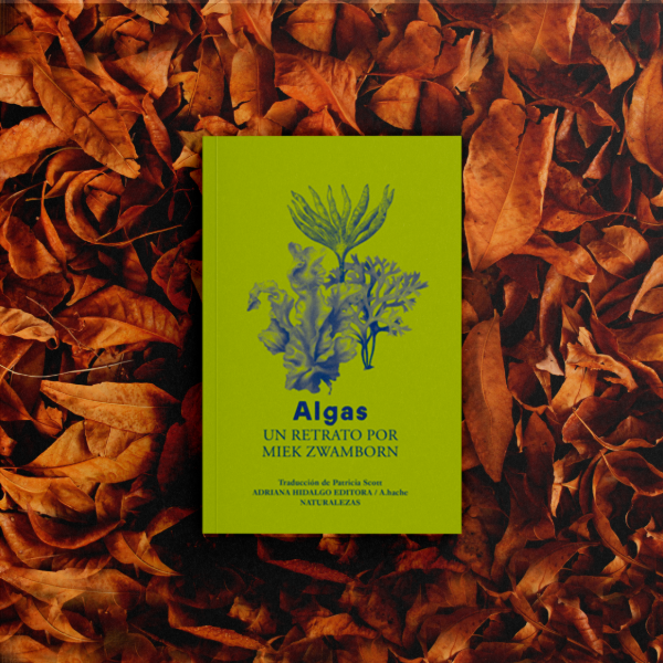 Producto - ALGAS - Miek Zwarnborn