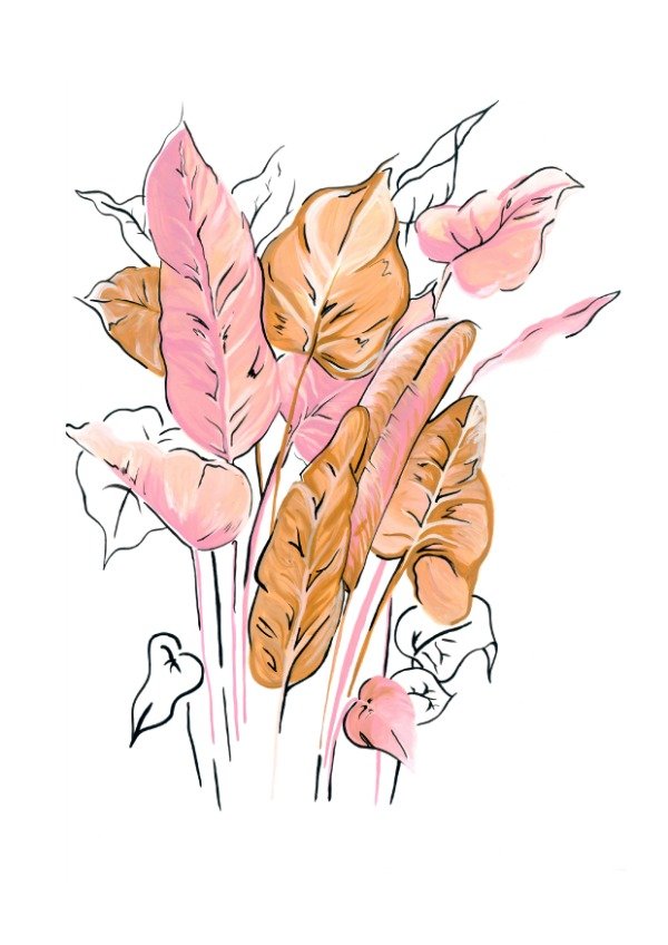 Producto - Ilustración Dracena
