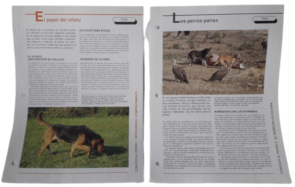 Producto - Mis Amigos Los Perros Lote X 10 Fichas Tecnicas 1994 (usado)