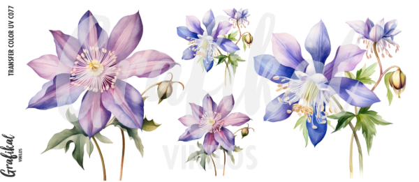 Producto - TransferColorUV C077