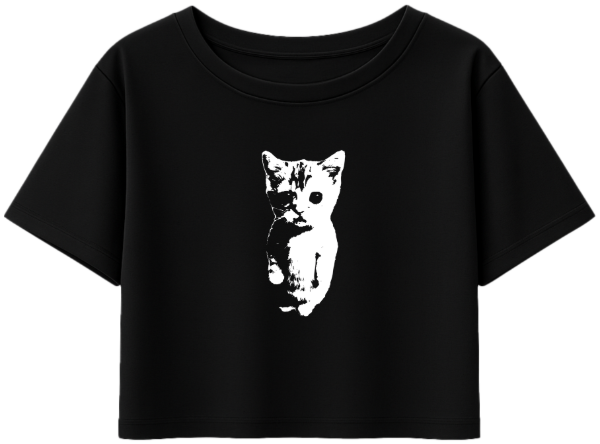 Producto - Top Gato 3