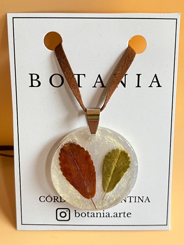 Producto - Hojas 1 Tabaquillo