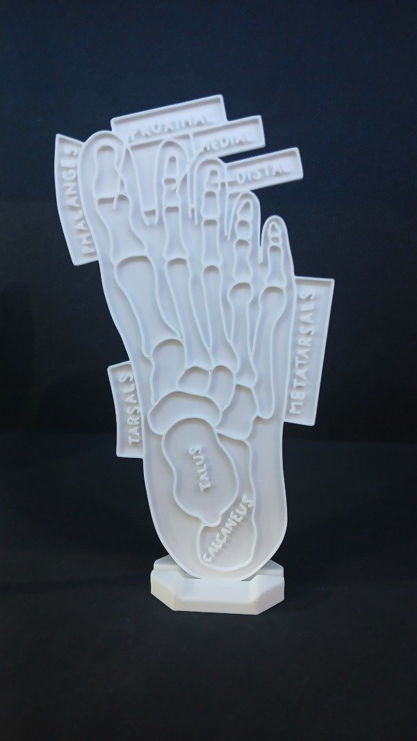 Producto - Pie para pintura