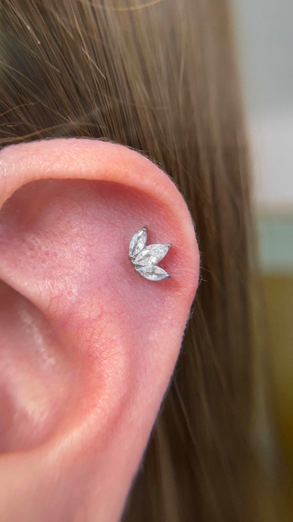 Producto - Helix leaf x3 - 1