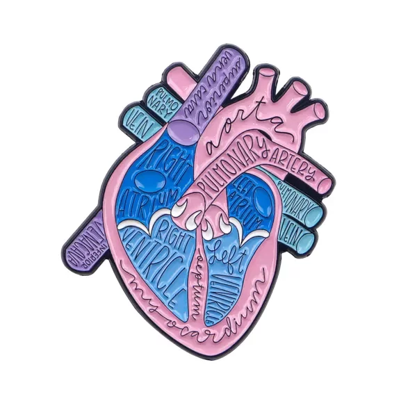 Producto - Pin Anatomía - Corazón Diagrama con sus partes