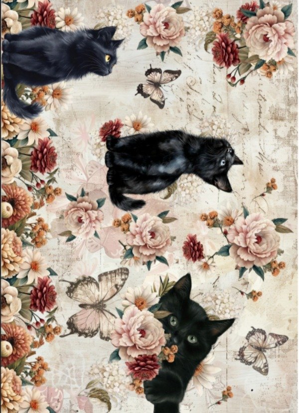 Producto - Lamina de Seda Sublimable CATCUTE4B