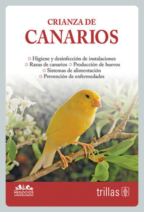 Producto - Crianza de Canarios
