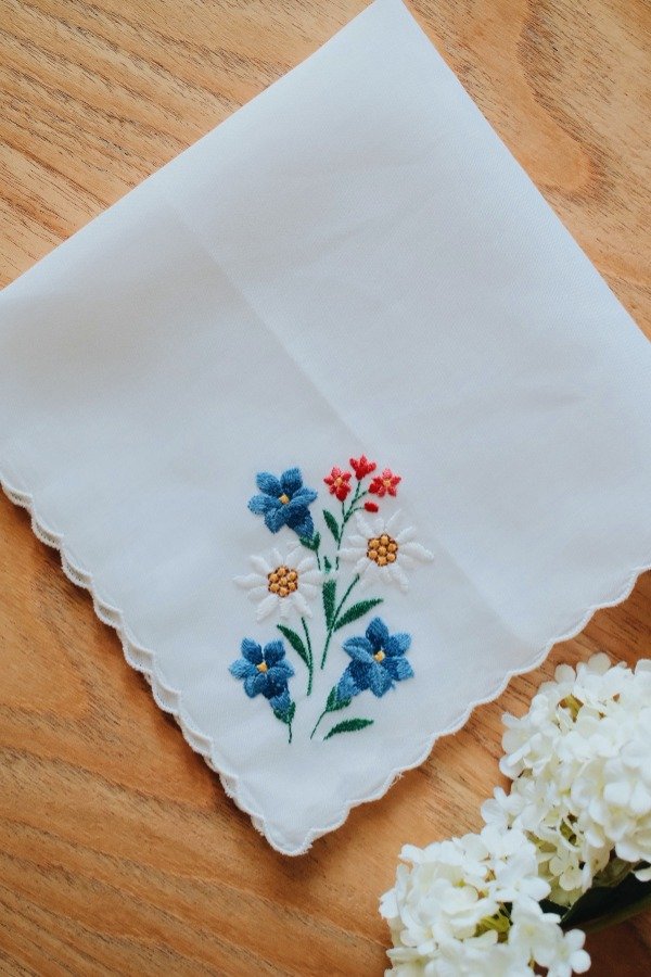 Producto - Pañuelo Alpes