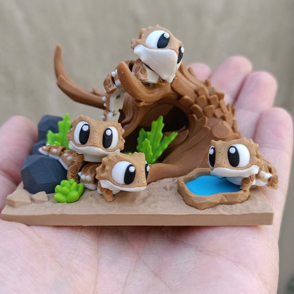 Producto - Dragón Barbudo con Terrario - 1
