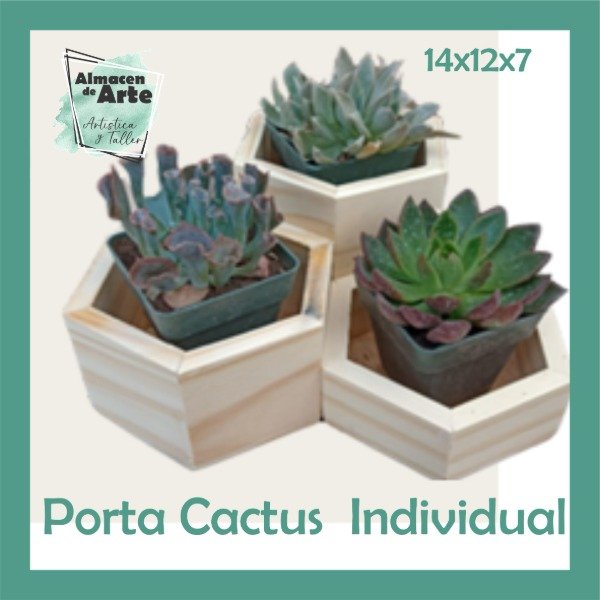 Producto - LDG Porta Cactus Individual Bajo 7cm
