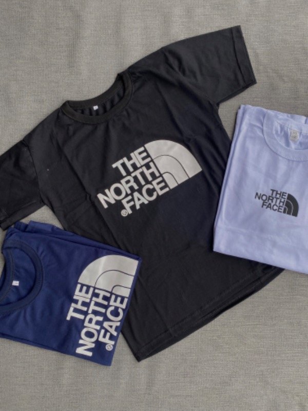 Producto - REMERA THE NORTH FACE