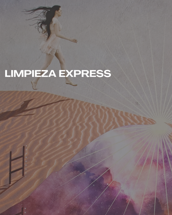 Producto - Limpieza express