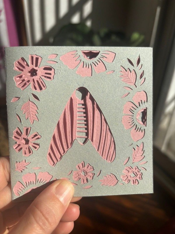 Producto - Chicharra Rosa